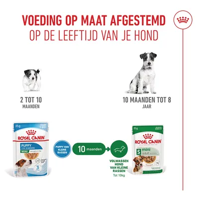 Royal Canin Mini Puppy Hondenvoer in Saus