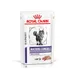 Royal Canin Expert Mature Consult Balance Mousse