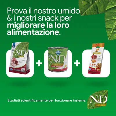 N&D Prime crocchette, alimento umido e snack dental Treat. Sviluppato scientificamente per una nutrizione migliorata. N&D Prime crocchette, alimento umido e snack dental Treat. Sviluppato scientificamente per una nutrizione migliorata.