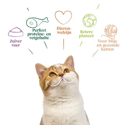 Zuiver voer, perfect proteïne- en vetgehalte, dierenwelzijn, betere planeet, voor blije en gezonde katten. Tekst met illustraties boven een kat.