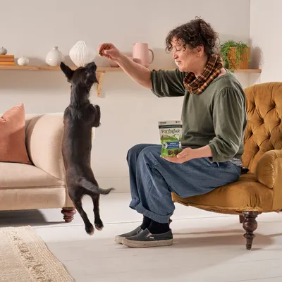 Person holding a Forthglade treats pack while giving a treat to a jumping dog, demonstrating product use for training or rewarding pets.