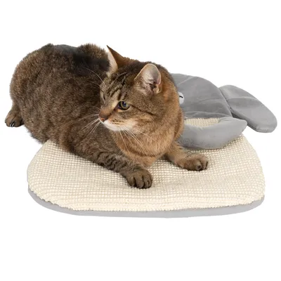 Braun getigerte Katze liegt auf einer beigen Matte mit grauem Plüschspielzeug in Tierform.