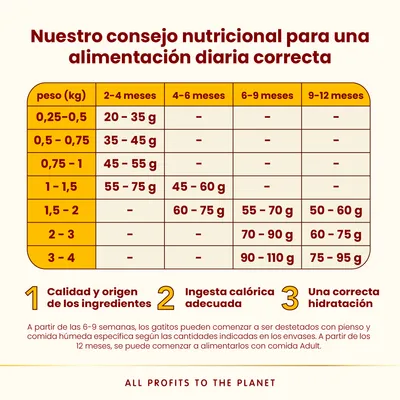 Almo Nature HFC Kitten pollo