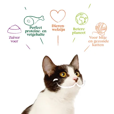 Zuiver voer, perfect proteïne- en vetgehalte, dierenwelzijn, betere planeet, voor blije en gezonde katten. Tekst met kat op de voorgrond.