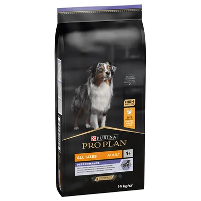 Purina Pro Plan Performance hrană pentru câini adulți, toate taliile, cu conținut ridicat de proteine și pui ca ingredient principal. Ambalajul prezintă un câine. Greutate: 14 kg.