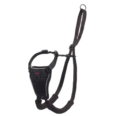 Harnais noir Halti pour chien, avec sangle réglable et boucle métallique visible, matière textile et plastique, logo Halti sur le devant.