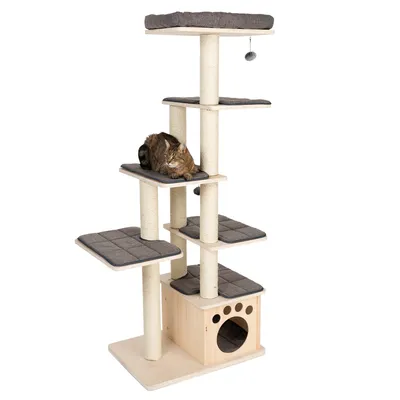 Kratzbaum aus Holz mit mehreren Ebenen, Sisalstämmen, gepolsterten Liegeflächen und Höhle. Katze liegt auf einer der Plattformen. Hängendes Spielzeug sichtbar.