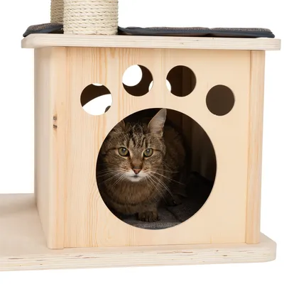 Katzenhaus aus Holz mit runder Öffnung und Pfotenmuster, Katze sitzt innen. Oben Kratzfläche mit Sisal umwickelt.