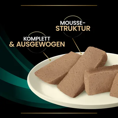 Mousse-Struktur, komplett und ausgewogen. Abgebildet sind braune Stücke mit Mousse-Textur auf einem weissen Teller.