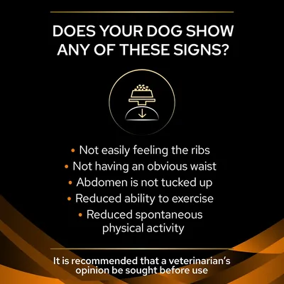 Signs listed: not easily feeling the ribs, not having an obvious waist, abdomen is not tucked up, reduced ability to exercise, reduced spontaneous physical activity. Vet advice recommended.