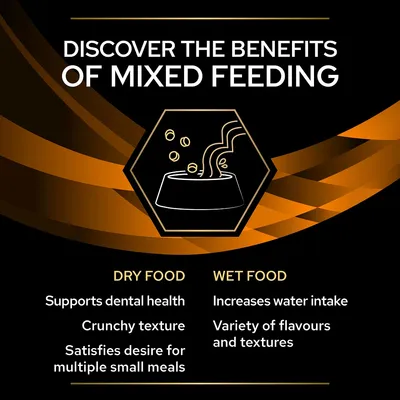 Benefits of mixed feeding: dry food supports dental health, has crunchy texture, satisfies desire for multiple small meals; wet food increases water intake, offers variety of flavours and textures.