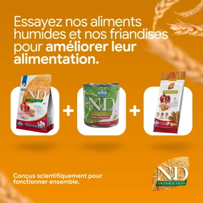 N&D Ancestral Grain Croquettes, N&D Prime Nourriture humide et N&D Dental Friandises. Développés scientifiquement pour agir ensemble. À combiner pour une meilleure alimentation. N&D Ancestral Grain Croquettes, N&D Prime Nourriture humide et N&D Dental Friandises. Développés scientifiquement pour agir ensemble. À combiner pour une meilleure alimentation.