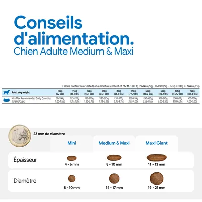 Recommandation d’alimentation pour Chien Adulte Medium & Maxi : quantité journalière selon le poids, taille des croquettes et épaisseur comparées à une pièce de 1 euro. Recommandation d’alimentation pour Chien Adulte Medium & Maxi : quantité journalière selon le poids, taille des croquettes et épaisseur comparées à une pièce de 1 euro.