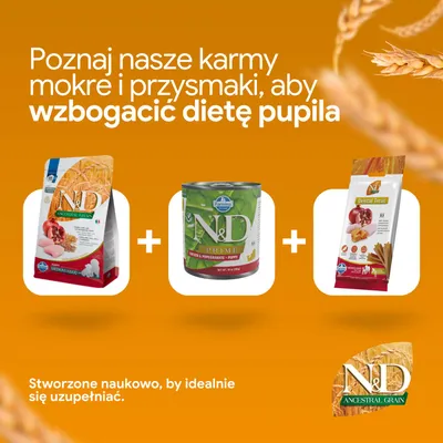 N&D Ancestral Grain karma sucha, N&D Prime karma mokra oraz N&D Dental Treats są prezentowane jako suplement do żywienia zwierząt. Opracowane naukowo dla optymalnej kombinacji. N&D Ancestral Grain karma sucha, N&D Prime karma mokra oraz N&D Dental Treats są prezentowane jako suplement do żywienia zwierząt. Opracowane naukowo dla optymalnej kombinacji.