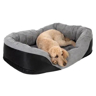 Hund liegt in einem grauen und schwarzen Hundebett mit gepolsterten Seiten.