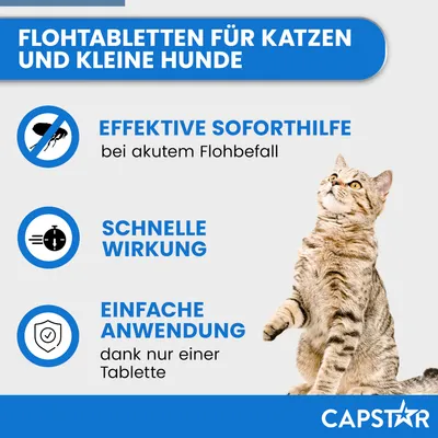 Flohtabletten für Katzen und kleine Hunde. Effektive Soforthilfe bei akutem Flohbefall, schnelle Wirkung, einfache Anwendung dank nur einer Tablette. Marke: Capstar.