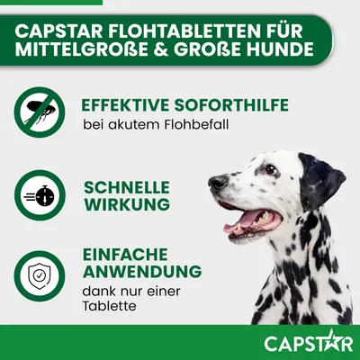 Capstar Flohtabletten für mittelgroße und große Hunde. Effektive Soforthilfe bei akutem Flohbefall, schnelle Wirkung, einfache Anwendung dank nur einer Tablette.