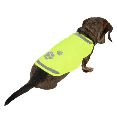 Hund iført en gul reflekterende sikkerhedsvest med grå pote-motiver og reflekterende striber.