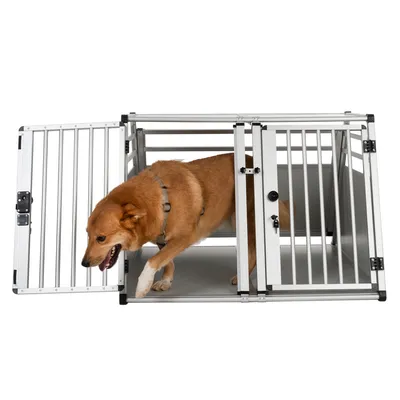 Cane che entra in un trasportino per auto in metallo con porta aperta e griglie laterali visibili.