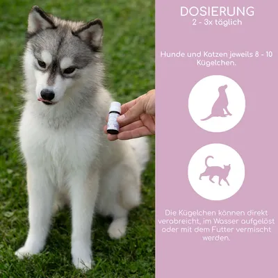 Wolfsbacher Natur Bach-blomster