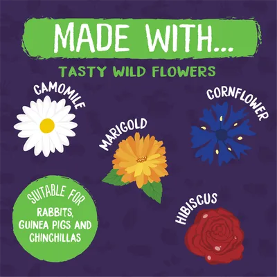 Burgess Excel Nature Snacks Wildflower Forage - 75g Burgess Excel Nature Snacks Wildflower Forage - 75g
