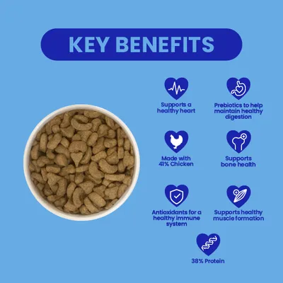 Burgess Excel Ferret Nuggets - 2kg Burgess Excel Ferret Nuggets - 2kg