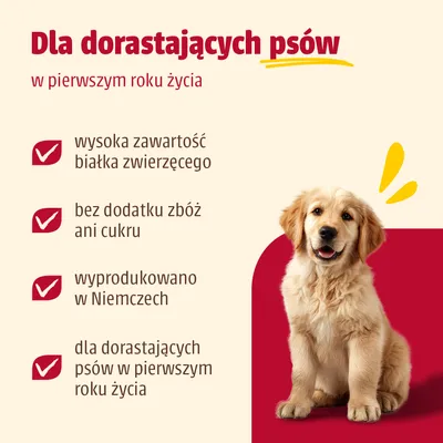Dla rosnących psów w pierwszym roku życia: wysoka zawartość białka zwierzęcego, bez zboż i cukru, wyprodukowane w Niemczech. Dla rosnących psów w pierwszym roku życia: wysoka zawartość białka zwierzęcego, bez zboż i cukru, wyprodukowane w Niemczech.