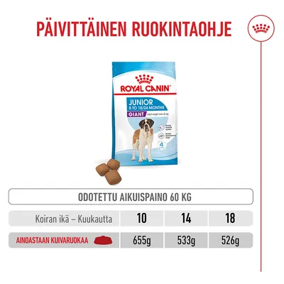 Ruokintataulukko Royal Canin Junior Giant -kuivaruualle, odotettu aikuipaino 60 kg: 10 kuukautta 655 g, 14 kuukautta 533 g, 18 kuukautta 526 g päivittäin.