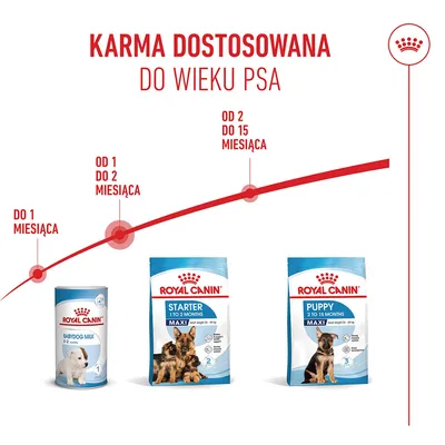 Zalecenia żywieniowe w zależności od wieku psa: Babydog Milk do 1 miesiąca, Starter 1-2 miesiące, Puppy 2-15 miesięcy. Przedstawione produkty marki Royal Canin.