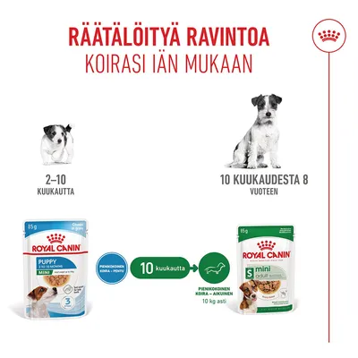 Ruokintasuositus: Royal Canin Puppy Mini koirille 2–10 kuukauden ikäisille, 10 kuukauden iästä alkaen Royal Canin Mini Adult. Sopii pienille koirille, joiden paino on enintään 10 kg.