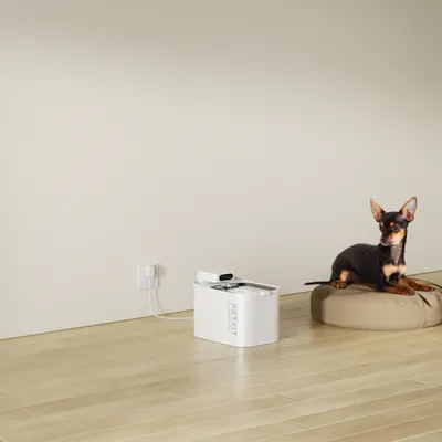 Petkit fontaine à eau Eversweet Max