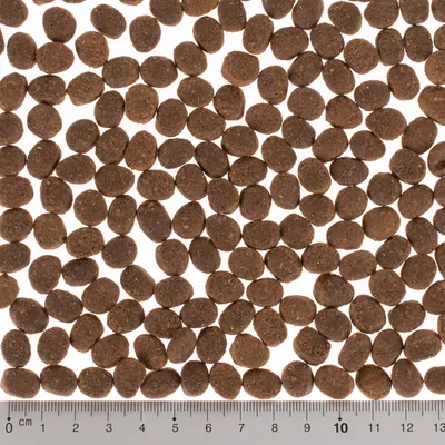 Close-up of brown, round dry food pieces with a ruler below for size indication in centimetres.