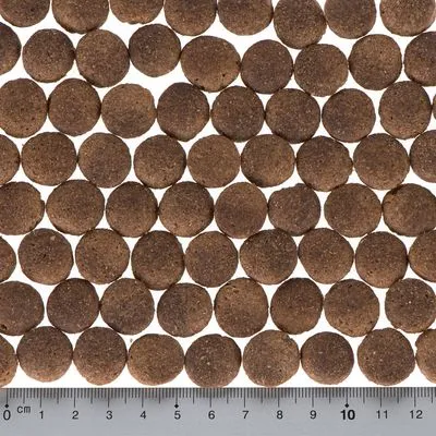 Briantos Adult Kip & Rijst Hondenvoer