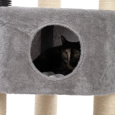 Chat allongé dans une niche grise recouverte de tissu peluche, partie d’un arbre à chat avec poteaux en sisal visibles.