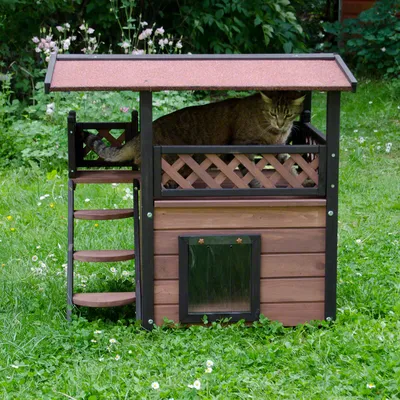 Drvena kućica za mačke s prozorom, stepenicama i natkrivenom terasom, smeđe-crne boje. Mačka sjedi na gornjoj terasi. Kućica postavljena na travi na otvorenom.
