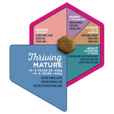Diagramma con fasce d'età per cani: Puppy 1-12 mesi, Junior 12-18 mesi, Adult 18 mesi-6 anni, Senior da 9 anni. Thriving Mature: 6-9 anni 25-40kg, 5-8 anni oltre 40kg.
