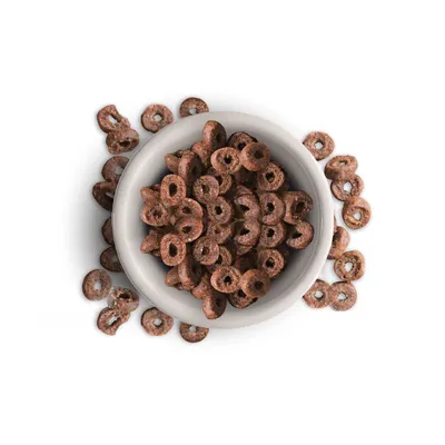 Brown, ring-shaped dry food pieces in a grey bowl, some pieces scattered around the bowl.
