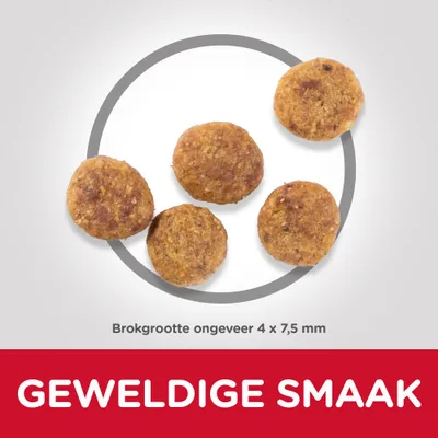 Brokjes, brokgrootte ongeveer 4 × 7,5 mm. Tekst: GEWELDIGE SMAAK.