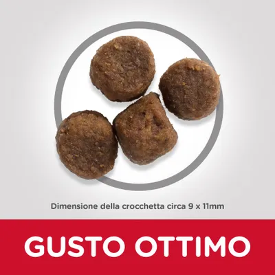 Quattro crocchette tonde, testo: Dimensione della crocchetta circa 9 x 11 mm. In basso scritta grande: GUSTO OTTIMO.