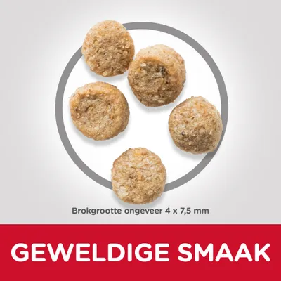 Brokjes, brokgrootte ongeveer 4 x 7,5 mm. Tekst: GEWELDIGE SMAAK.