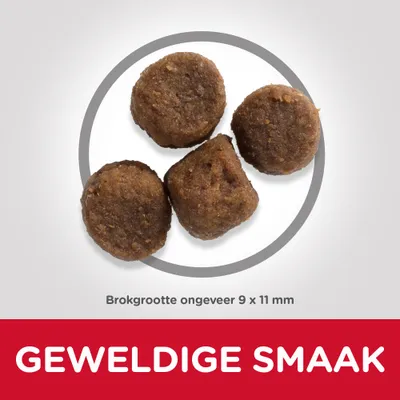 Vier brokken, brokgrootte ongeveer 9 × 11 mm. Tekst: GEWELDIGE SMAAK.
