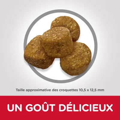 Taille approximative des croquettes 10,5 × 12,5 mm. Texte visible : UN GOÛT DÉLICIEUX.