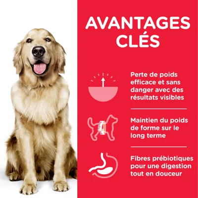 AVANTAGES CLÉS : perte de poids efficace et sans danger, maintien du poids de forme sur le long terme, fibres prébiotiques pour une digestion tout en douceur.