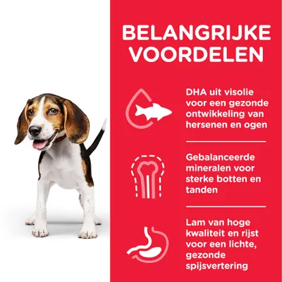 BELANGRIJKE VOORDELEN: DHA uit visolie voor gezonde ontwikkeling van hersenen en ogen, gebalanceerde mineralen voor sterke botten en tanden, lam en rijst voor lichte spijsvertering.