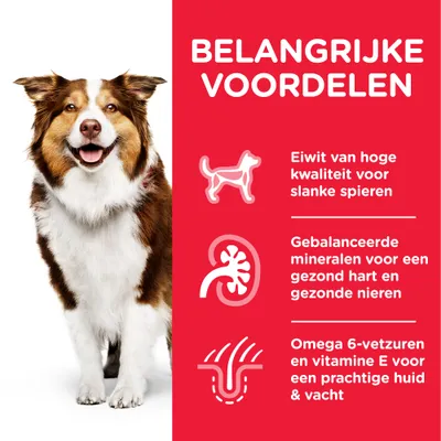 Belangrijke voordelen: eiwit van hoge kwaliteit voor slanke spieren, gebalanceerde mineralen voor gezond hart en nieren, omega 6-vetzuren en vitamine E voor huid en vacht.