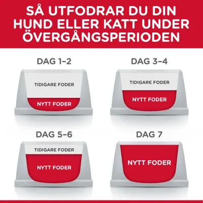 Utfodringsschema för hund eller katt vid foderbyte: dag 1–2 mest tidigare foder, dag 3–6 ökande nytt foder, dag 7 endast nytt foder. Text: 'TIDIGARE FODER', 'NYTT FODER'.