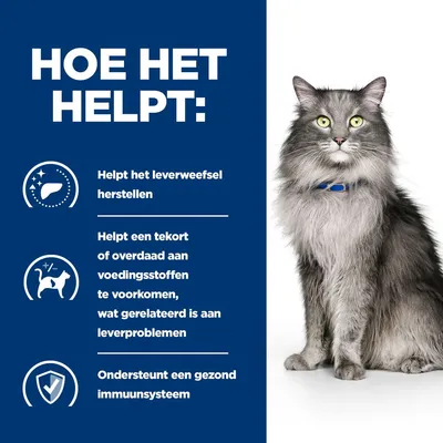 HOE HET HELPT: Helpt het leverweefsel herstellen. Helpt een tekort of overdaad aan voedingsstoffen te voorkomen, wat gerelateerd is aan leverproblemen. Ondersteunt een gezond immuunsysteem.