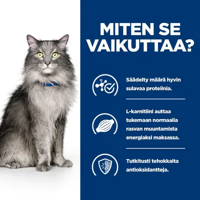 MITEN SE VAIKUTTAA? Säädelty määrä hyvin sulavaa proteiinia. L-karnitiini auttaa tukemaan normaalia rasvan muuntamista energiaksi maksassa. Tutkitusti tehokkaita antioksidantteja.