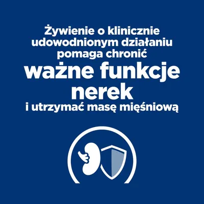 Żywienie o klinicznie udowodnionym działaniu pomaga chronić ważne funkcje nerek i utrzymać masę mięśniową. Grafika nerki i tarczy.