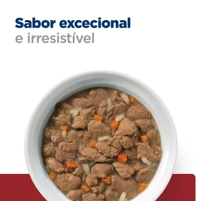 Sabor excecional e irresistível. Prato com pedaços de comida húmida para animais, visíveis cubos de carne, cenoura e arroz em molho.
